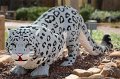 Kids_DFWzoo_3-2016 (12)